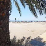 Palm Tree View 아파트