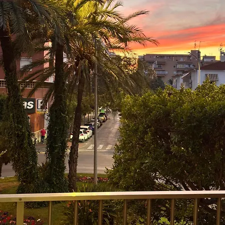 Palm Tree View *