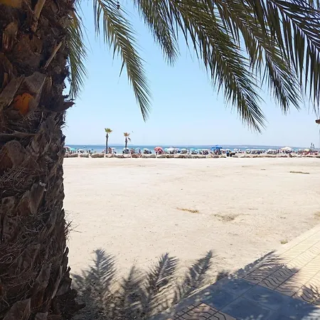 Palm Tree View Appartement
