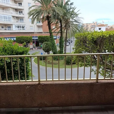 Palm Tree View * Santa Pola