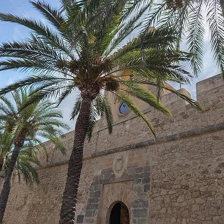 Palm Tree View Appartement Santa Pola