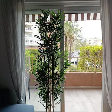Palm Tree View
