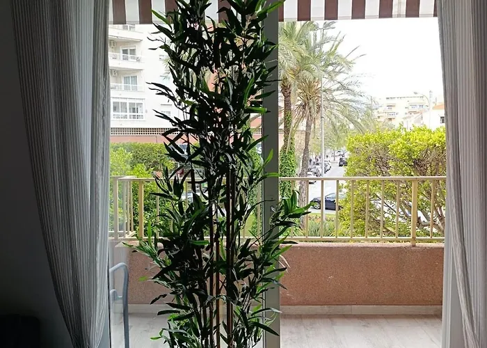 Palm Tree View