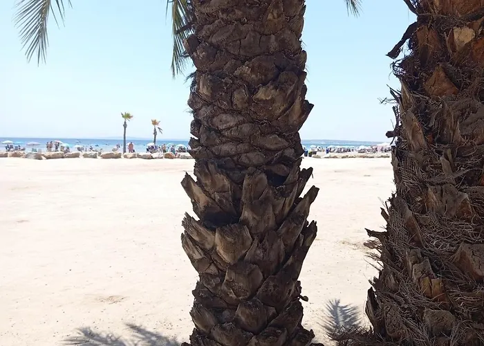 Apartament Palm Tree View