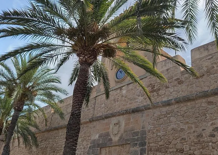 Palm Tree View Apartament Santa Pola