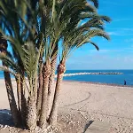 Palm Tree View