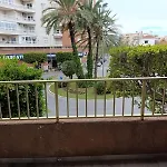 Palm Tree View * Santa Pola