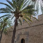 Palm Tree View Apartamento Santa Pola